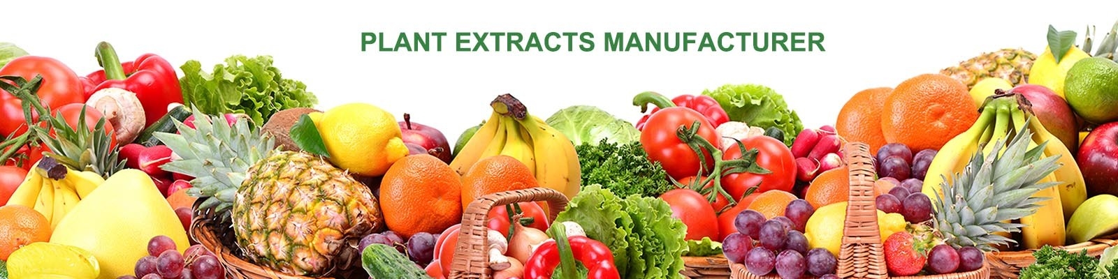 Plant Extract Powder