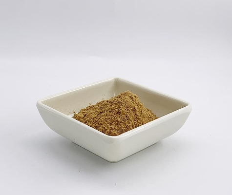Salvia miltiorrhiza Extract Powder with 7% Salvianolic acid B for Foods Supplements