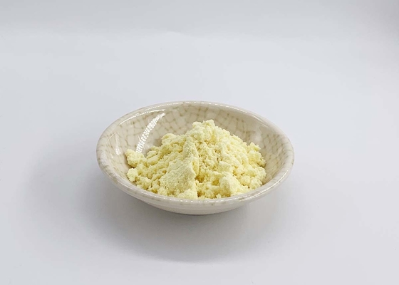 Ginger Root Extract Powder with 5% Gingerol for Foods Supplements