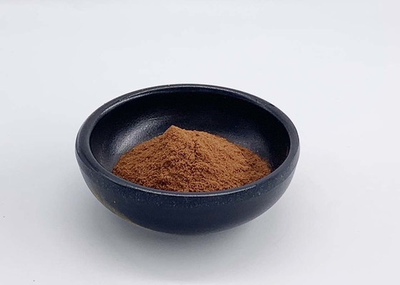 Apple Extract with 70% Apple Polyphenol for Anti-oxidation Foods
