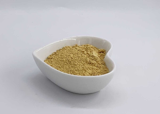 UV 80% Silymarin Acetone extracted from Milk Thistle Assay of HPLC 30%