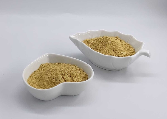 70% UV Silymarin Acetone extracted from Milk Thistle for Liver Health