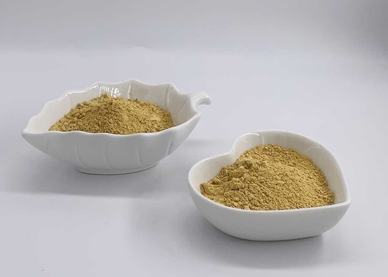 70% UV Silymarin Acetone extracted from Milk Thistle for Liver Health