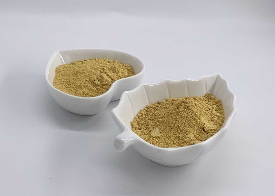 Ethyl Acetate extracted Silymarin UV 80% from Milk Thistle
