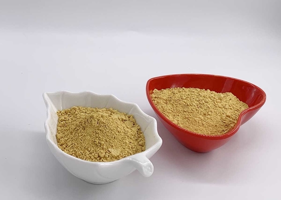 60% HPLC Silymarin Powder Ethanol Extracted from Milk Thistle