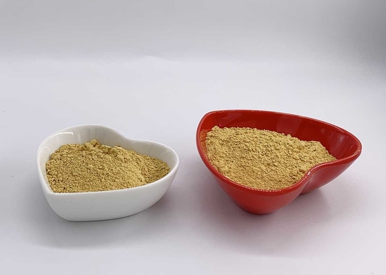60% HPLC Silymarin Powder Ethanol Extracted from Milk Thistle