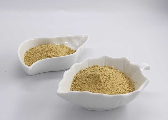 Ethanol Extracted Silymarin from Milk Thistle with HPLC 50% Assay