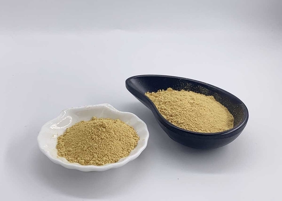 CAS Number 65666-07-1 Silymarin Milk Thistle Ethanol extract HPLC 40%