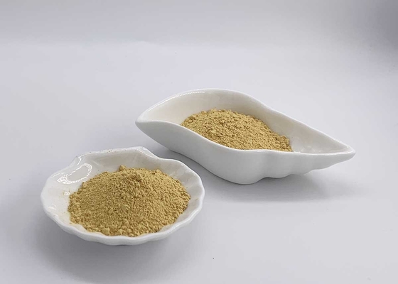 CAS Number 65666-07-1 Silymarin Milk Thistle Ethanol extract HPLC 40%