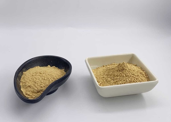 Ethanol Extracted Silymarin from Milk Thistle  with UV 80%