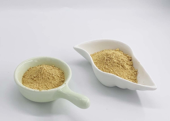 Silymarin extract from Milk Thistle Seeds with HPLC 50%-60% Silymarin