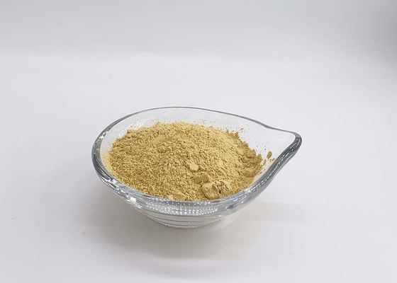 Silymarin extract Powder UV 80%