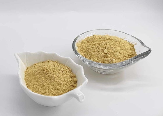 Water Soluble Silymarin UV 40%