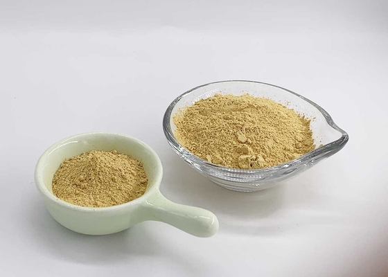 Water Soluble Silymarin UV 40%