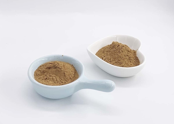 USP40 Food Grade Ginkgo Biloba Extract Powder 22% Flavones