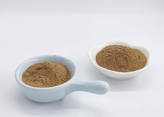 100% Natural Ginkgo Biloba Extract (GBE) Powder For Supplements