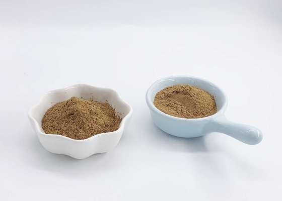 CAS NO.90045-36-6 Ginkgo Biloba Leaves Extract Powder