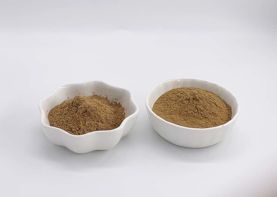EP7.0 Pharma Grade Ginkgo Biloba Extract Powder