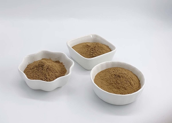 Water Soluble Ginkgo Biloba Extract
