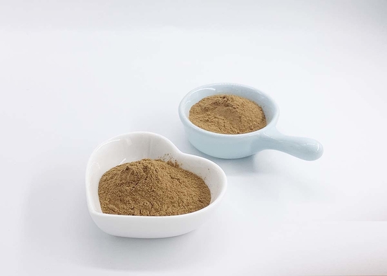 CP2015 Grade Ginkgo Biloba Extract Powder With Lactone 6%