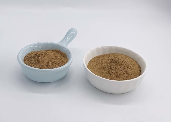 24:6 Ginkgo Biloba Leaves Extract Powder For Capsules