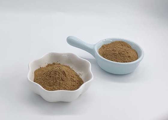 EU Organic Ginkgo Biloba Leaf Extract