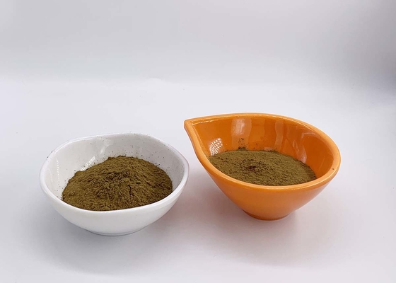 Aloe Vera Extract with 20% Aloin for Antibacterial and Anti inflammation