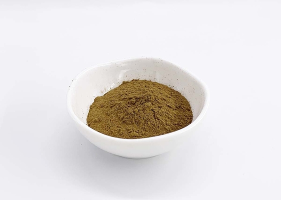 Natural Aloe Vera Leaf Extract with 20% Barbaloin Aloin