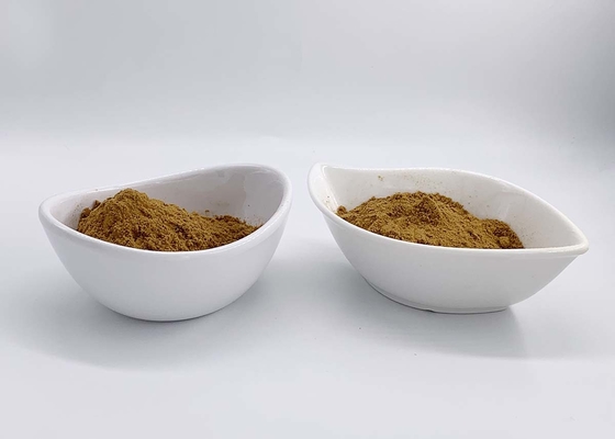 Shiitake Lentinus Edodes Extract with 10%-50% Lentinan Polysaccharides