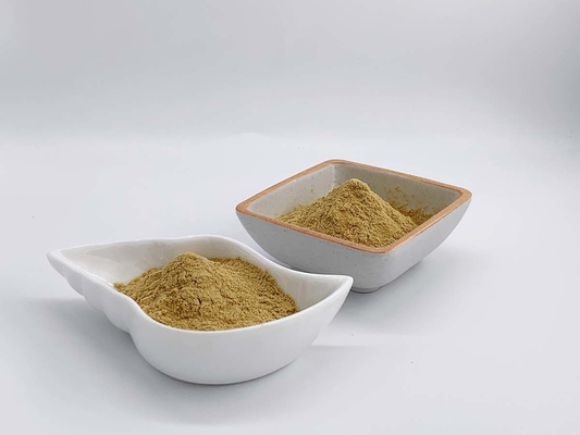Hericium Erinaceus Extract Mushroom Polysaccharides