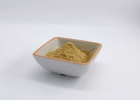 Mushroom Polysaccharides From Coriolus Versicolor Extract 1% Triterpene