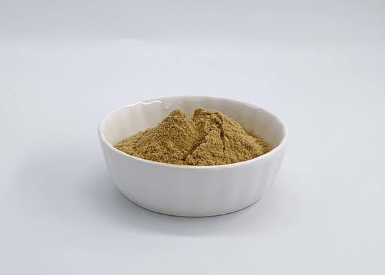 Chaga Mushroom Polysaccharides with 2% Triterpene