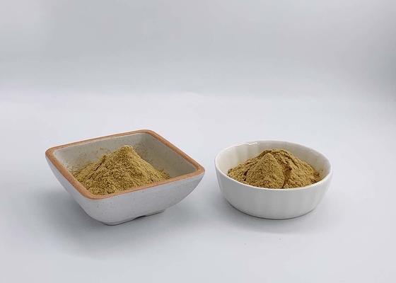 Phellinus Igniarius Extract Mushroom Polysaccharides With 2% Triterpene