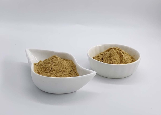 Auricularia Extract With 10%-50% Mushroom Polysaccharides