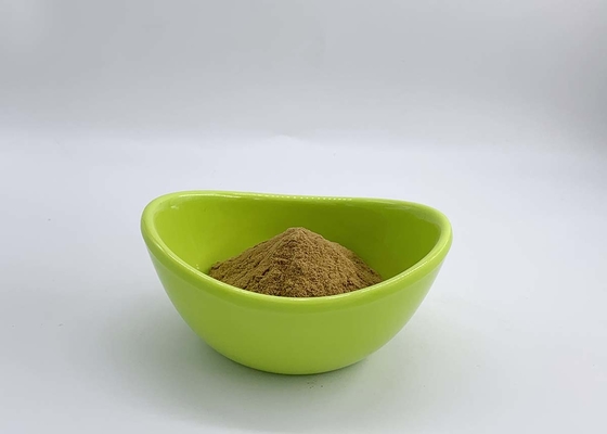 Flammulina velutipes extract With 50% Polysaccharides