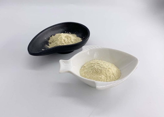 Genistein 98% Powder Extracted From Genista Tinctoria