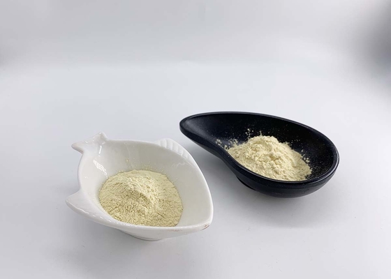 Genistein 98% Powder Extracted From Genista Tinctoria