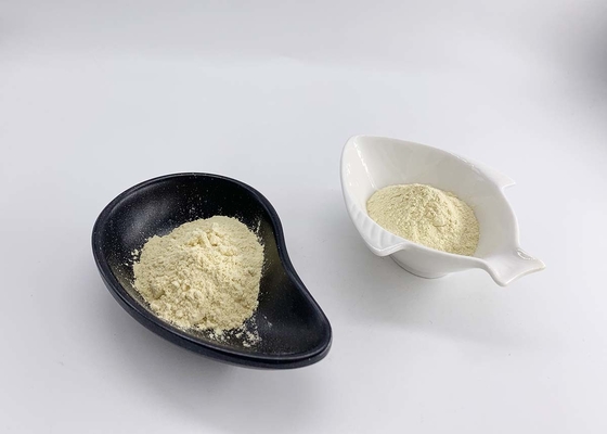 Garcinia Cambogia Extract Powder 50% for Weight Loss