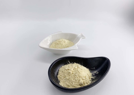 Garcinia Cambogia Extract Powder 50% for Weight Loss