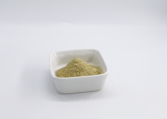Organic Green Coffee Bean Extract With 50% Chlorogenic Acid