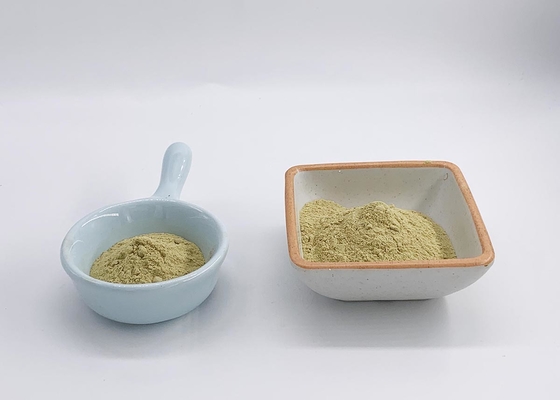 Sophora Japonica Flower Extract Water Soluble 95% Rutin