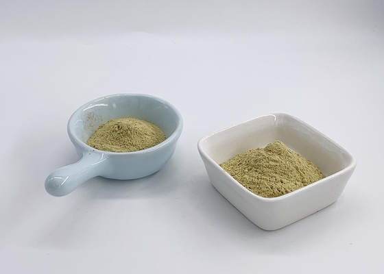 Sophora Japonica Flower Extract Water Soluble 95% Rutin