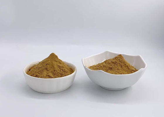 Natural Cordyceps Sinensis Extract with Polysaccharides