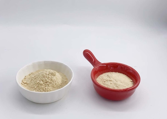 20% Purity of Phosphatidylserine PS for Brain Supplements