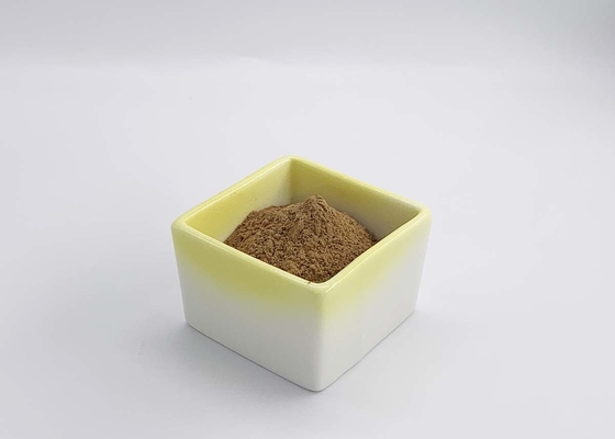 EP Standard Water Soluble Ginkgo Biloba Extract Total Flavones 24%