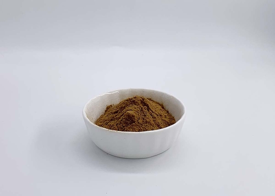 Reishi Ganoderma Lucidum Polysaccharides