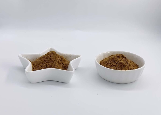 Reishi Ganoderma Lucidum extract with 4% Triterpene
