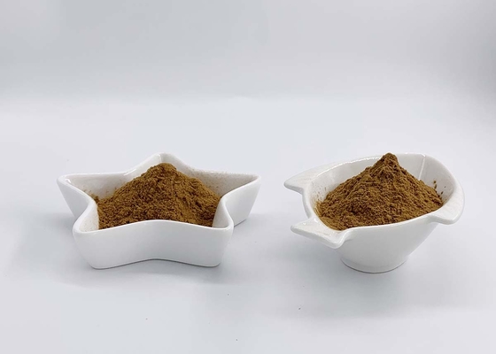 Reishi Ganoderma Lucidum extract with 4% Triterpene