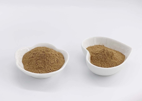 EP Standard Food Grade Ginkgo Biloba Leaves Extract Powder