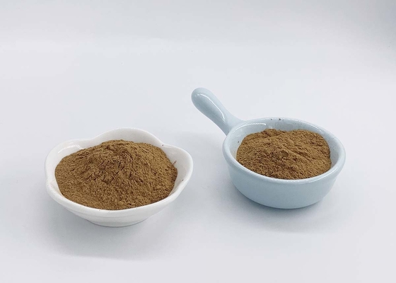 USP Grade Ginkgo Biloba Extract